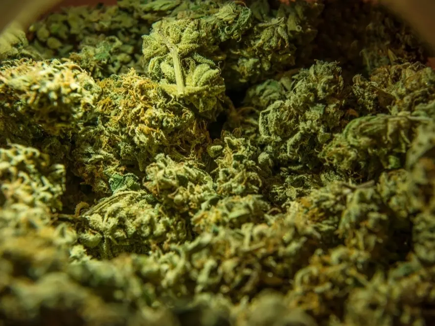 Weed in Bergen Navigating Norway’s Weed Situation